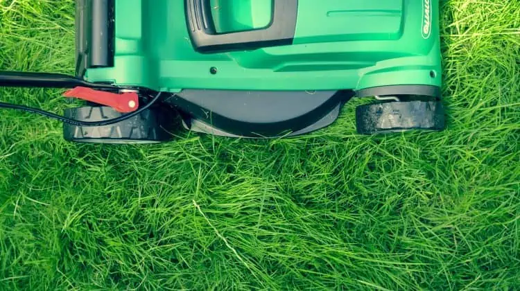 make extra money mowing lawns