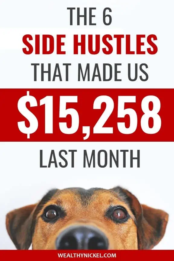 Extra income from side hustles pinterest image with dog