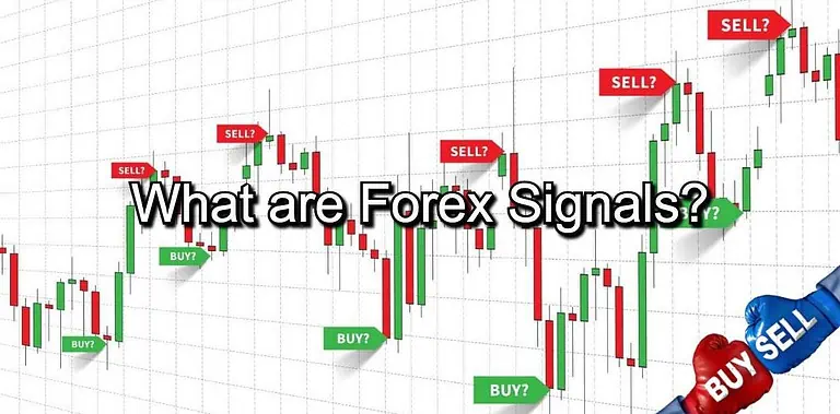 what are forex signals