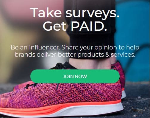 make money online with survey junkie