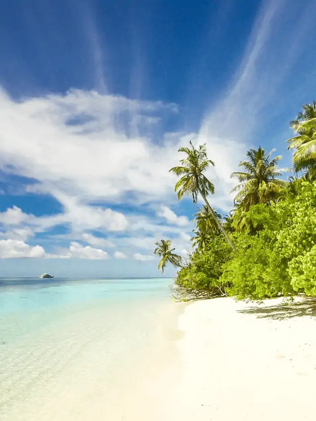 7 Travel Destinations