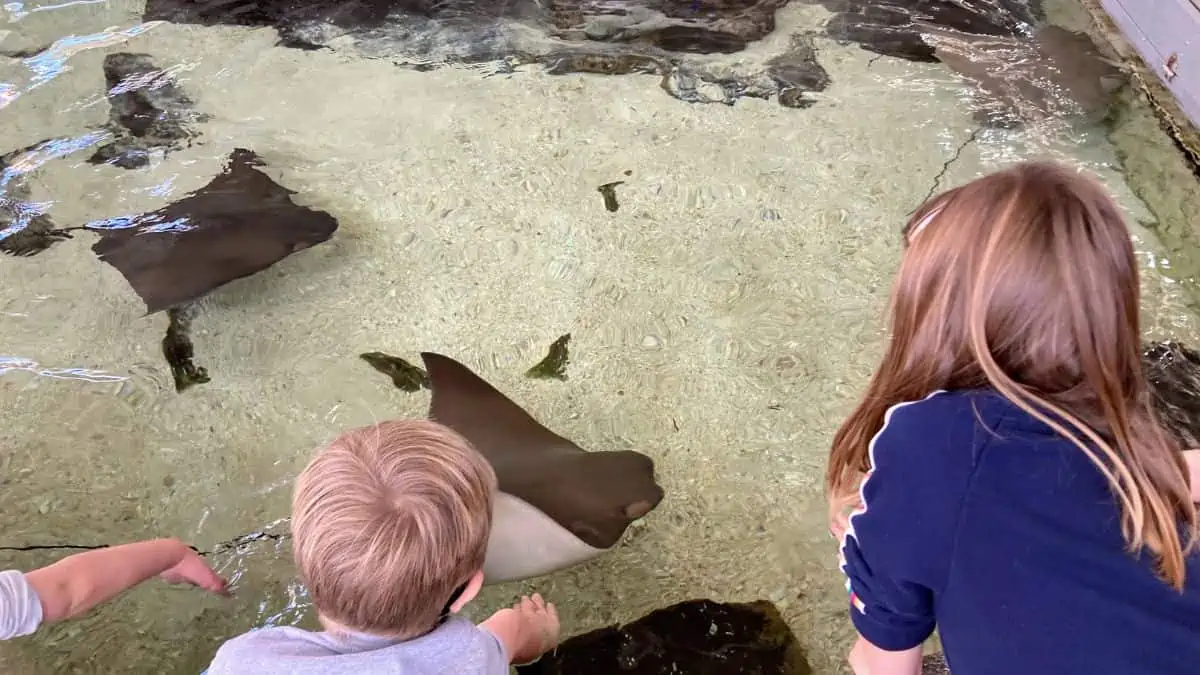 Fair Park Children's Aquarium with kids