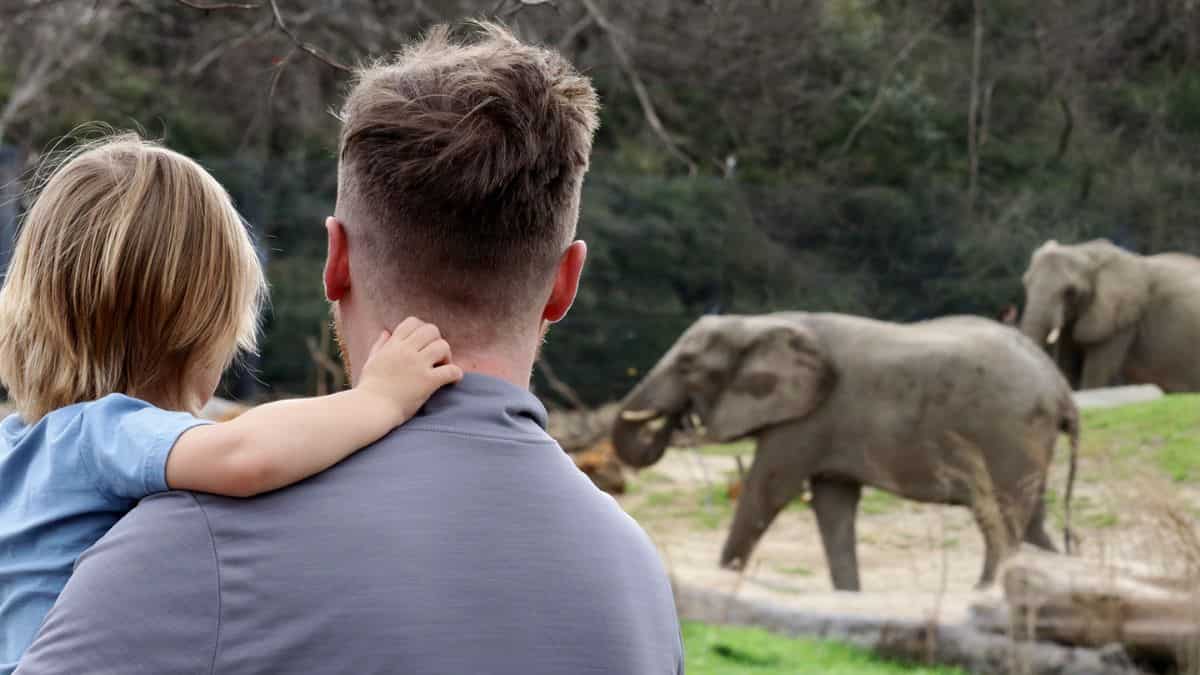 Dallas Zoo