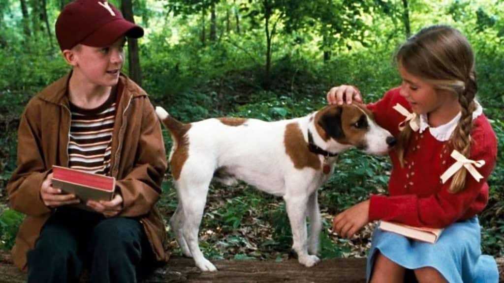 my dog skip imdb warner bros - 20 Movies People Loved But Could Never Watch Again