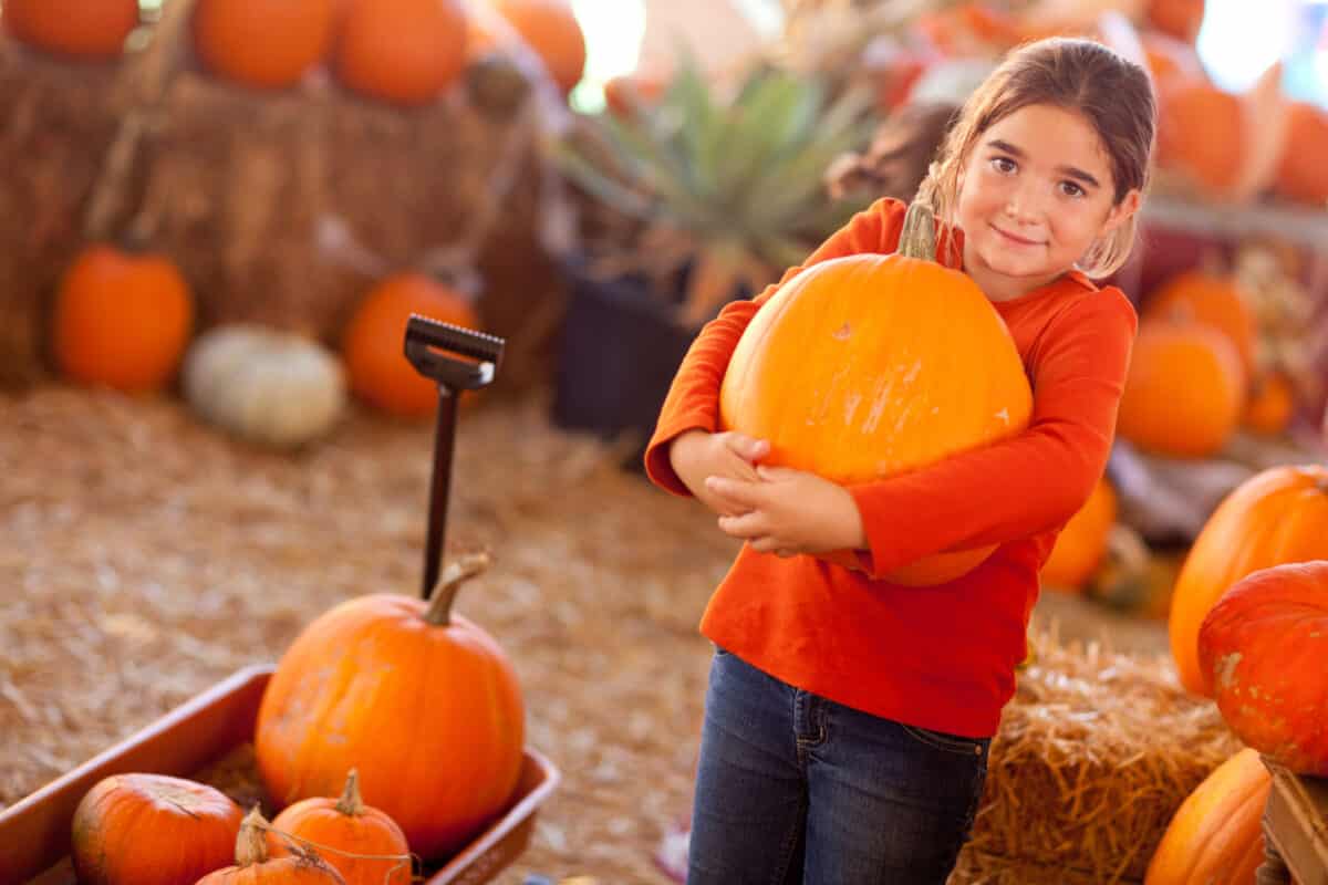 10 Best Pumpkin Patches in Dallas Fort Worth for 2022
