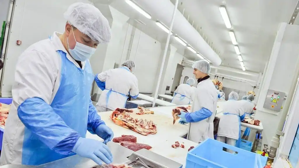 slaughterhouse worker