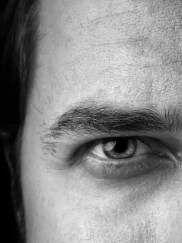 Portrait,Of,Handsome,Intelligent,Confident,Man