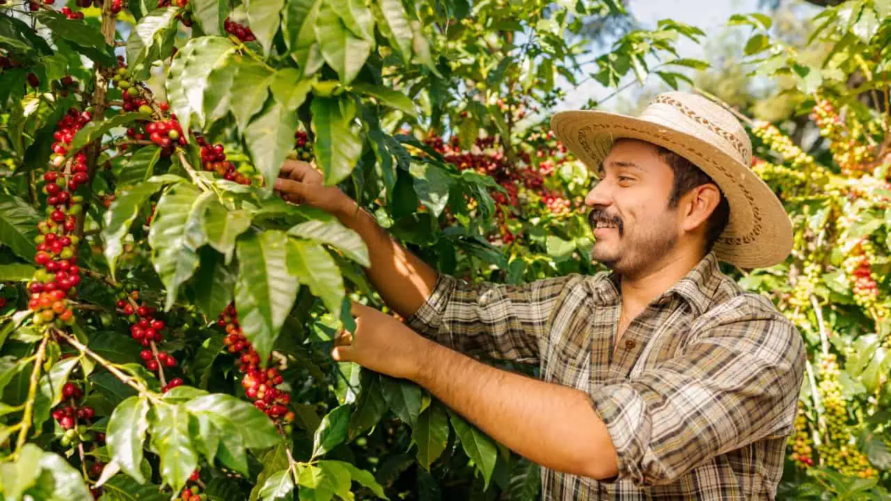 coffee farmer ss - 12 Fun and Fulfilling Jobs Employers Can't Fill - Because You Can't Make a Living Wage