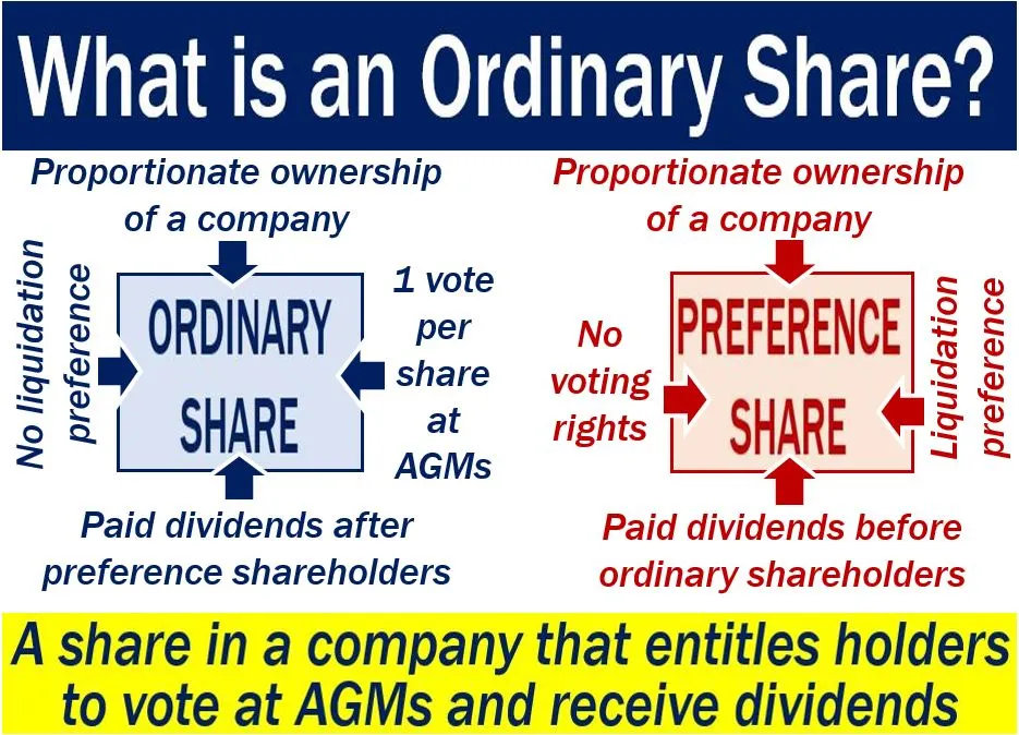 Ordinary share image with explanation and - Understanding Preference Shares vs Ordinary Shares