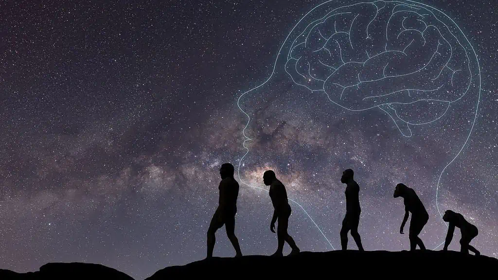 evolution ss - 14 Facts Undisputed by Scientists - That Some Still Disbelieve