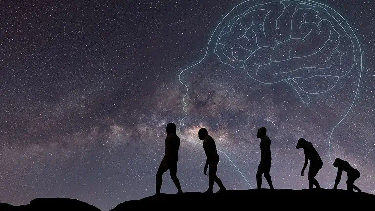 evolution ss - 14 Facts Undisputed by Scientists - That Some Still Disbelieve